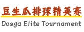 豆生瓜排球精英赛
