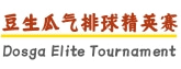豆生瓜气排球精英赛